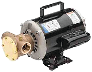 RULE 6050-0003 UTILITY PUMP 115/230 VOLT