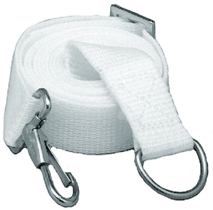 TAYLOR 2000 TIE DOWN ADJUSTABLE STRAP 2/BG